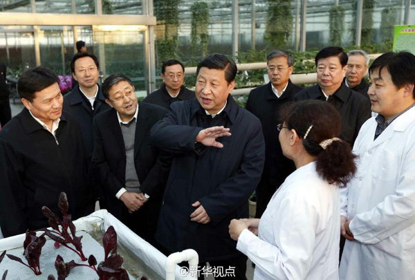 習(xí)近平：手中有糧，心中不慌