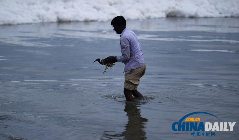 印度河流驚現(xiàn)大量泡沫污水（高清組圖）