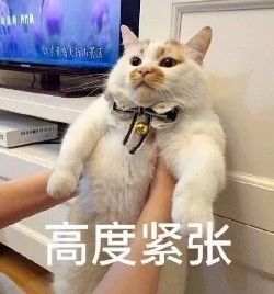 美國(guó)人有多愛(ài)夸人？居然飆車過(guò)來(lái)夸我鞋子美？？？
