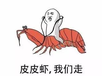 2017年最火的網(wǎng)絡(luò)流行語(yǔ)是這些！