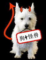 趣味翻譯：沒有自行車的魚？