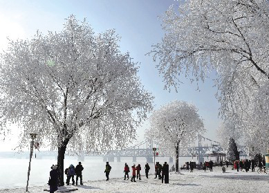 Beautiful rime scenery appears in Dandong