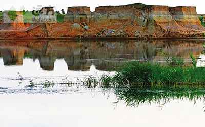 Datong becoming a veritable paradise for wildlife